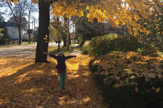 Autumn's Joy (and Overwhelm)